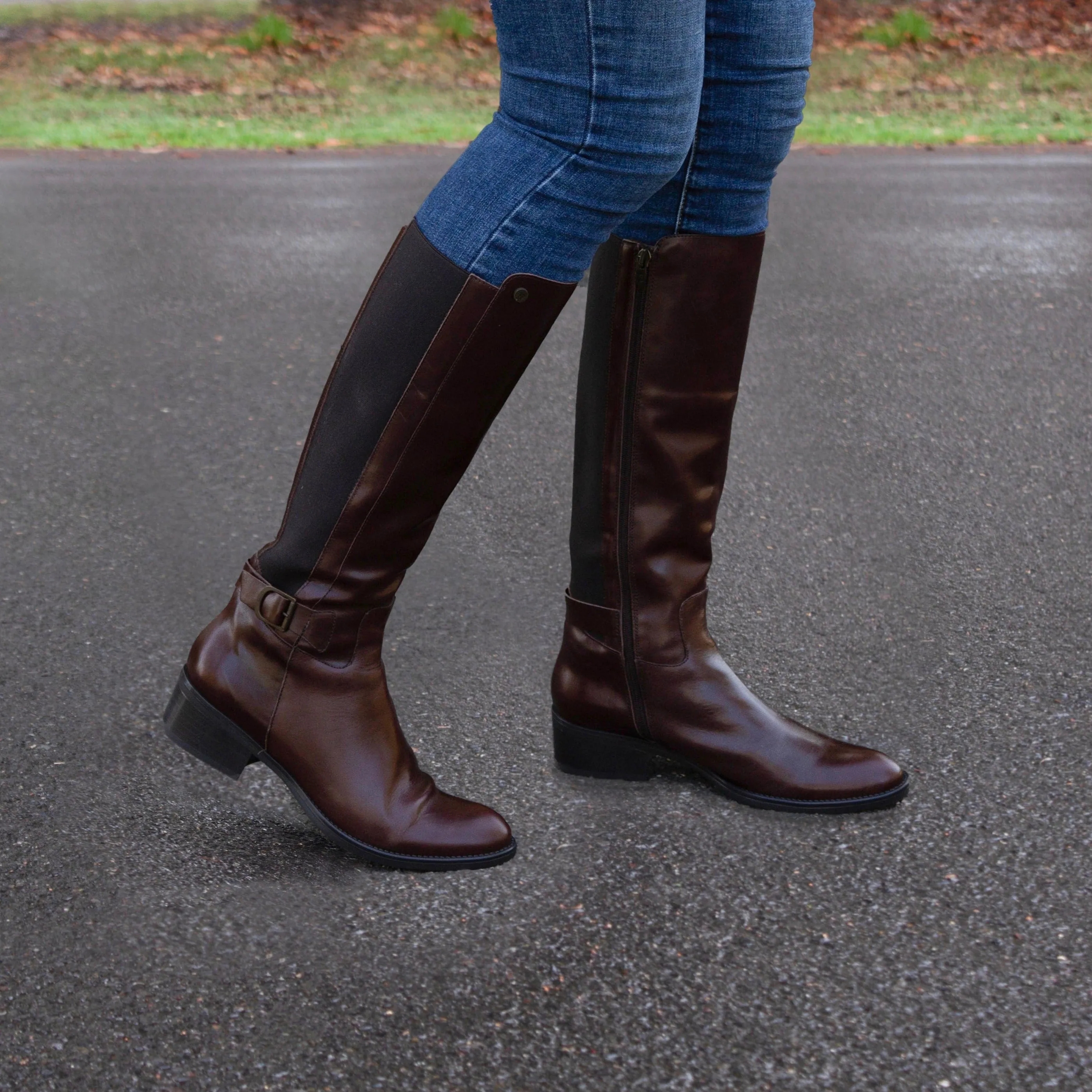 TACOMA Brown