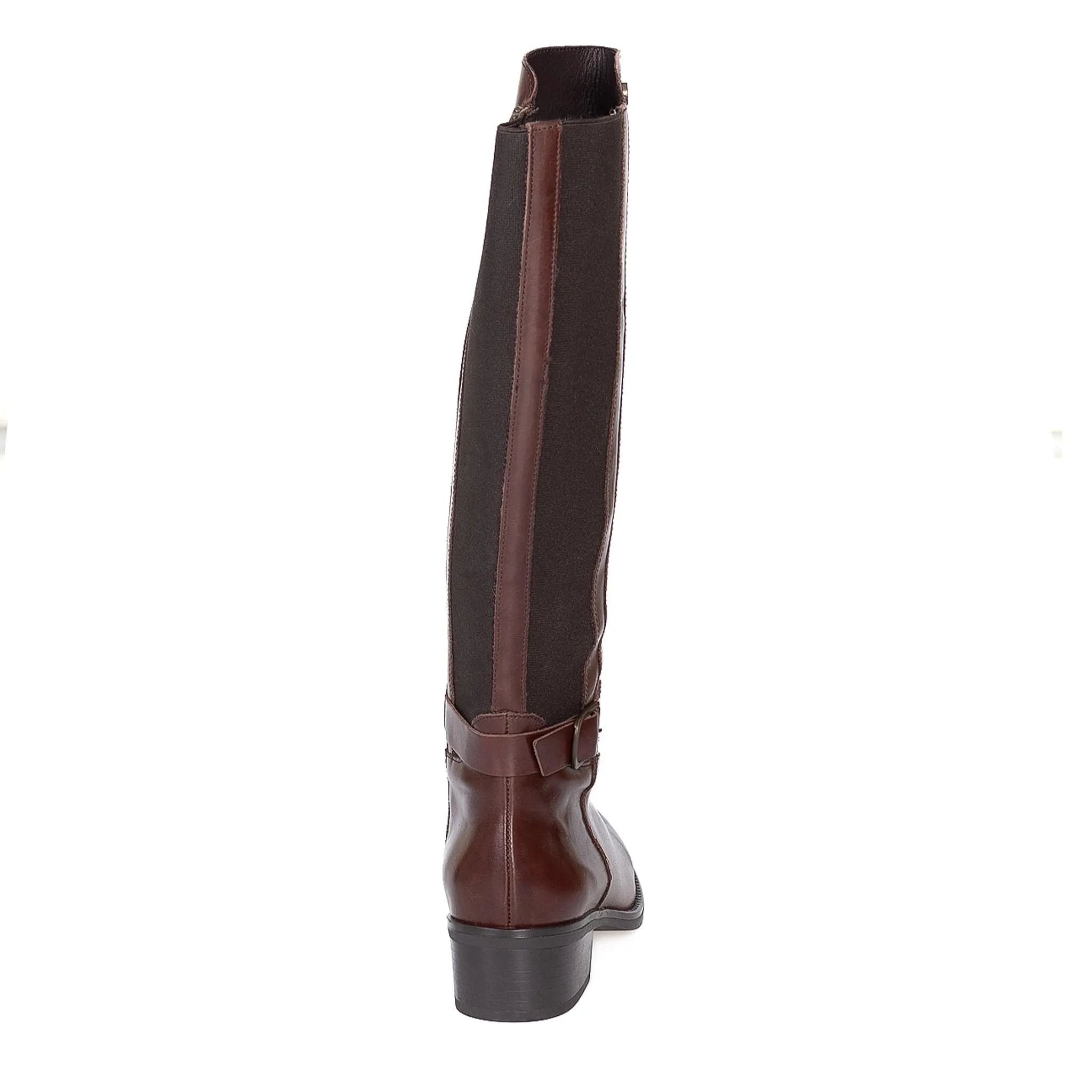 TACOMA Brown